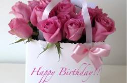 First Crush turns up 5 on December 23