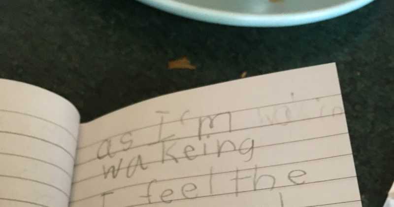 First Guest Post By My Older Daughter