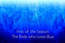 first of the season: the bride who loves blue