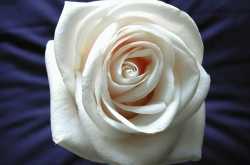 first, the seeker has to realize the ‘self’ is not 