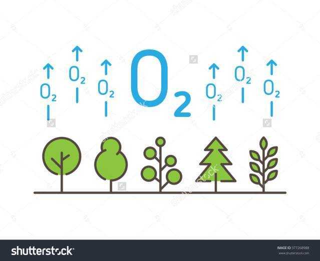 Five Factors That Can Naturally Improve Your Present State Of Health - Wealth With Wellness