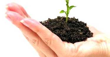 Five Major Challenges Faced By Indian Startups