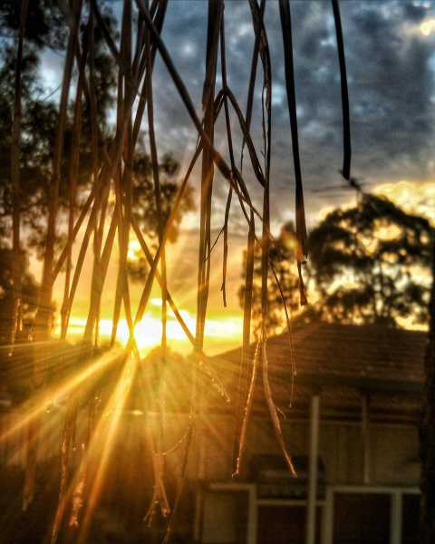 Flashlight | Nature Photography