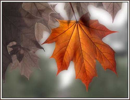 Fleeting Breeze Of A Winter Morning