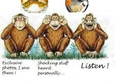 Flinging the stones of freedom....