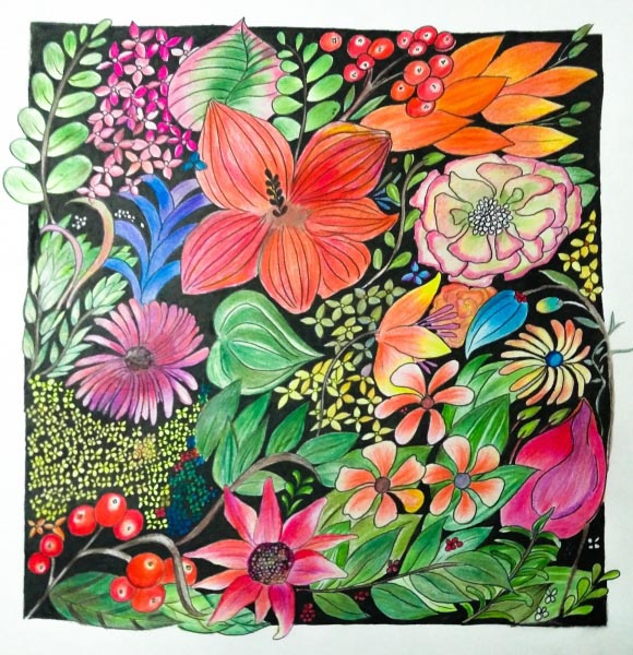 Floral Illustrations | Pencil Coloring | Artwork