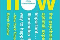 Flow: The Psychology of Optimal Experience  - Zen O Zen - Part -10