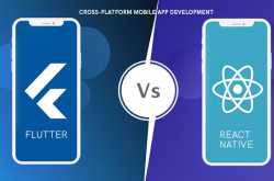 Flutter Vs React Native Framework - Wildnet Technologies