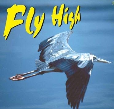 Fly High . . . .