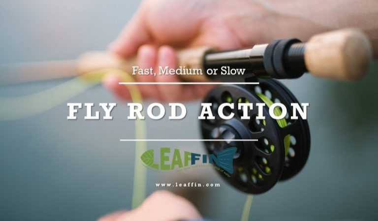 Fly Rod Action: What Suits You Best? [Fast, Medium Or Slow]