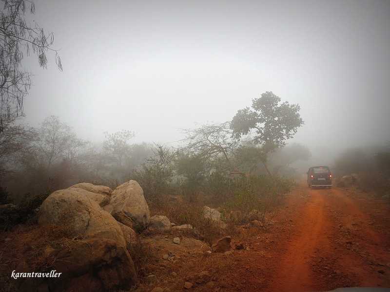 Foggy Sunday Morning In Asola Bhatti Wildlife Sanctuary