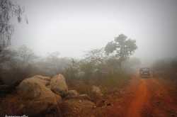 Foggy Sunday Morning In Asola Bhatti Wildlife Sanctuary