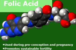 Folic Acid for parents to be