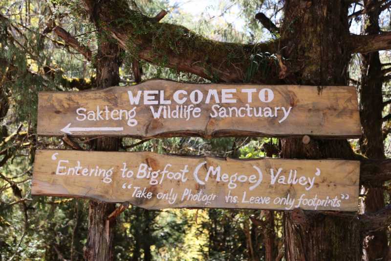 Folklores From Bhutan ~ Migoi The Yeti