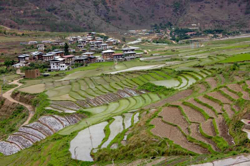 Folklores From Bhutan ~ Phallus Paintings On Walls