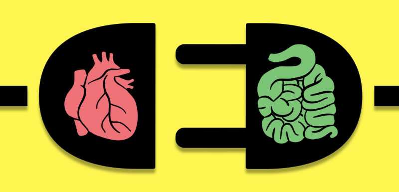 Follow My Health: Heart Health Secret Revealed ! » Healthilicious Plate