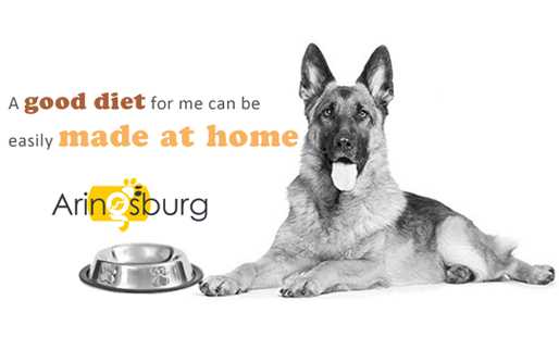 Food For Your GSD