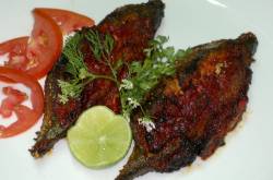 Food of the Week : Fish Recheado Dish Goa