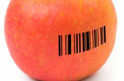 Food safety is a priority year round