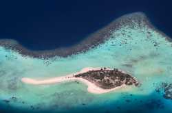 Foodalong - Travel and Food Around the World