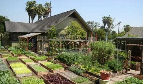 Foodscaping -An Indian City Shows Food Sustainability - Greenmoksha