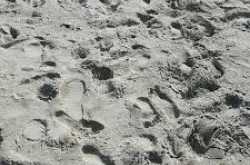 Footprint