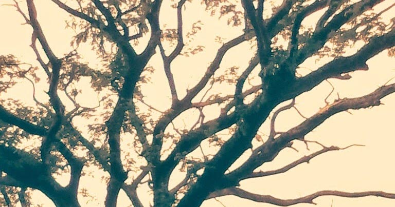 For The Infidels It Rained That Night