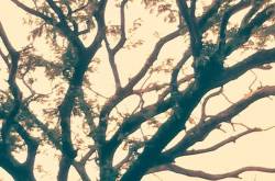 For the infidels it rained that night