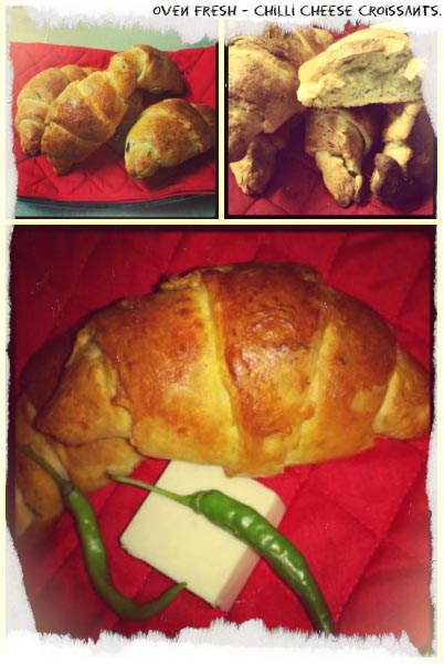 For The Love Of Chilli.