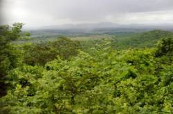 Forest Cover of Odisha | Tableau Visualization