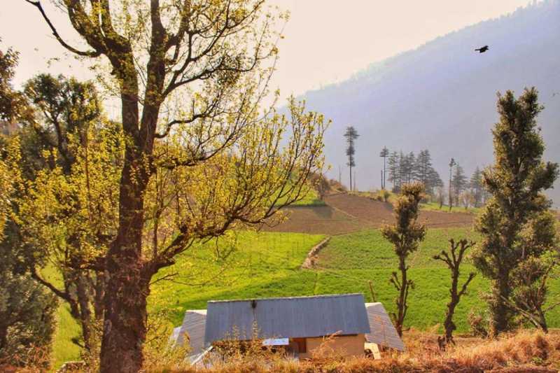 Forest Trails, Wood Houses And Beautiful Farms- Sainj Valley, Great Himalayan National Park Small Budget Big Trips
