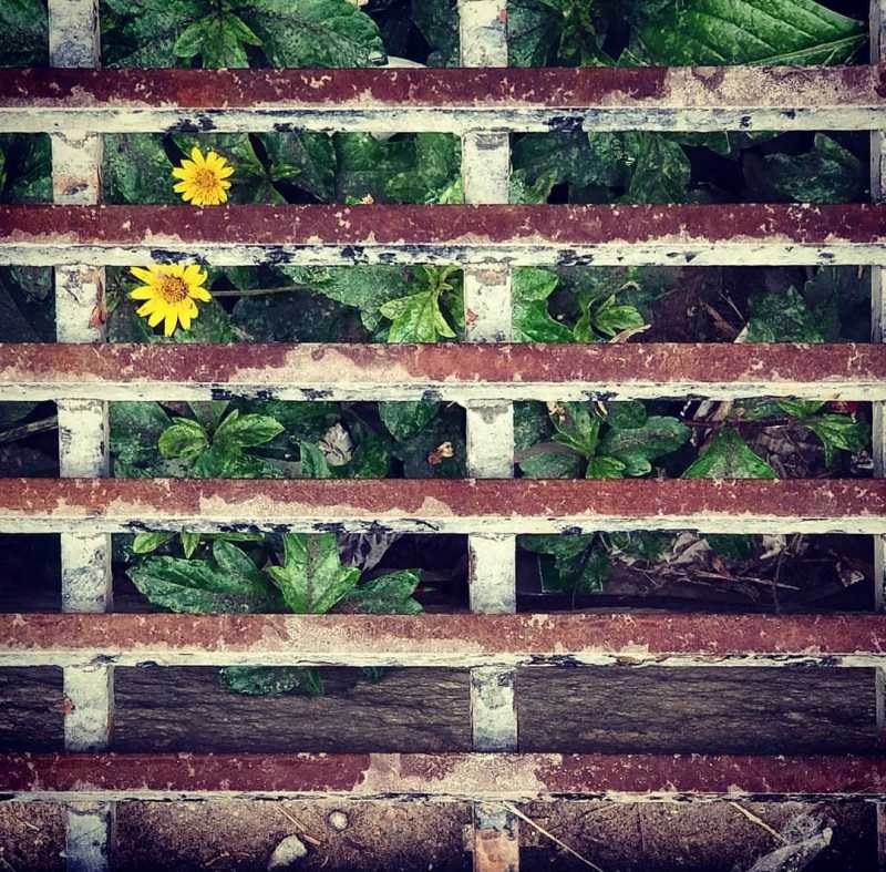 Forget The World And Look