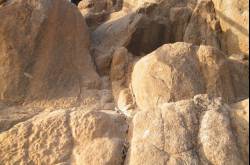 Fort Torna: Highest Peak in Pune