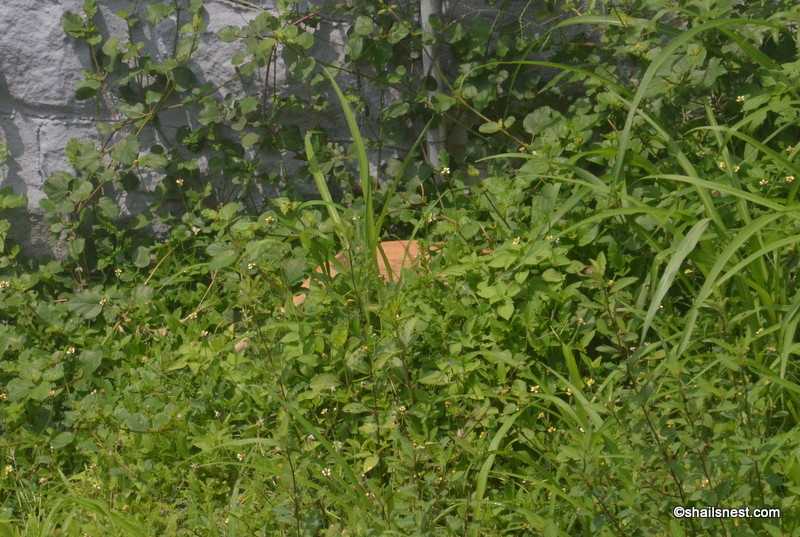 Foto Friday 199: Hunter