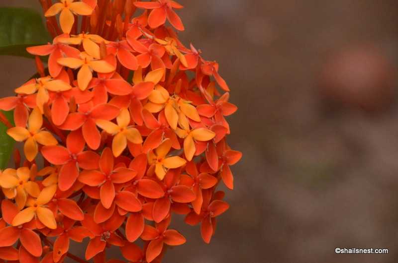 Foto Friday 200: Why The Delay