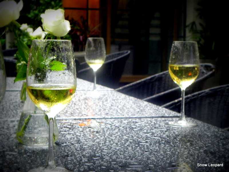 Four-Seasons And One Cheri