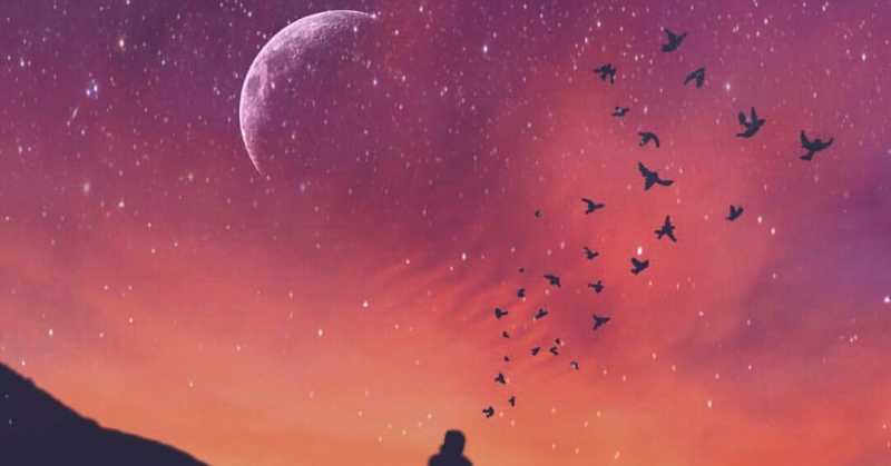 Four Corners Of The World