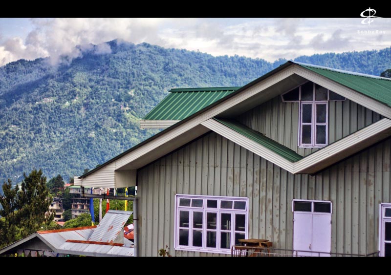 Frames From Sikkim || 2017
