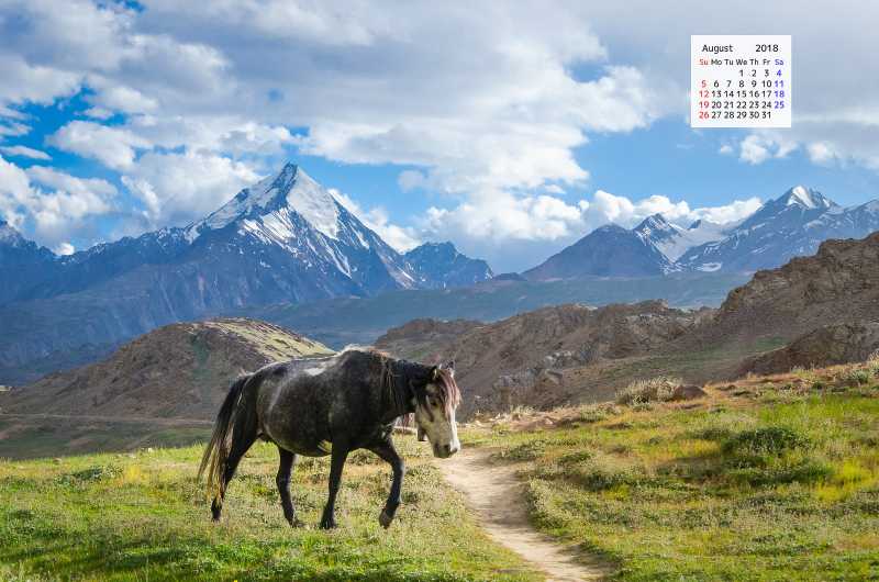 Free Download August 2018 Calendar Wallpaper A Horse & Travel Tales Chandratal