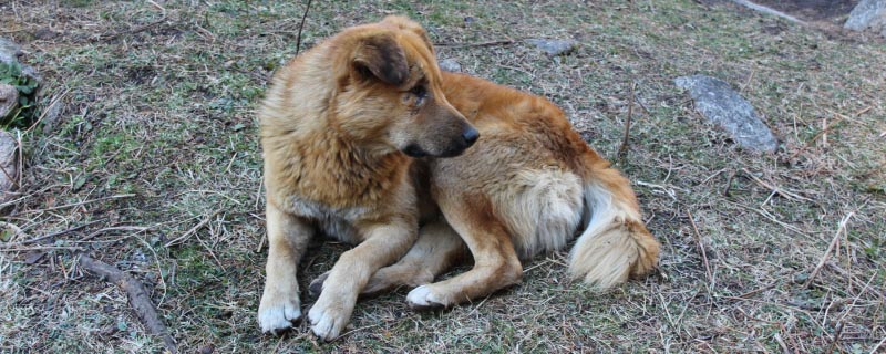 Free Photos – Kheer Ganga, India