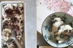 Fresh Mint and Dark Chocolate Chip No-Churn Ice Cream