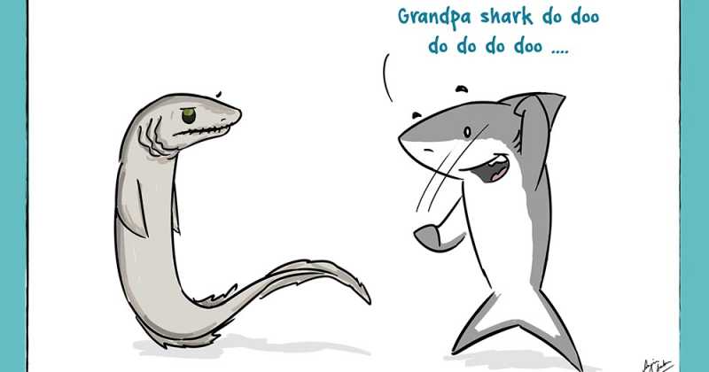 Frilly Grandpa Shark