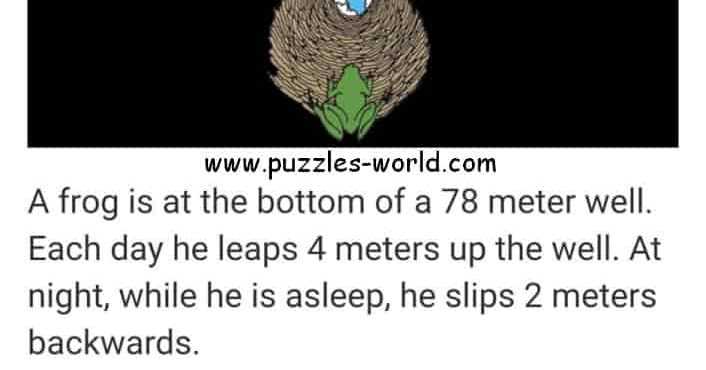 Frog In The Well Puzzle