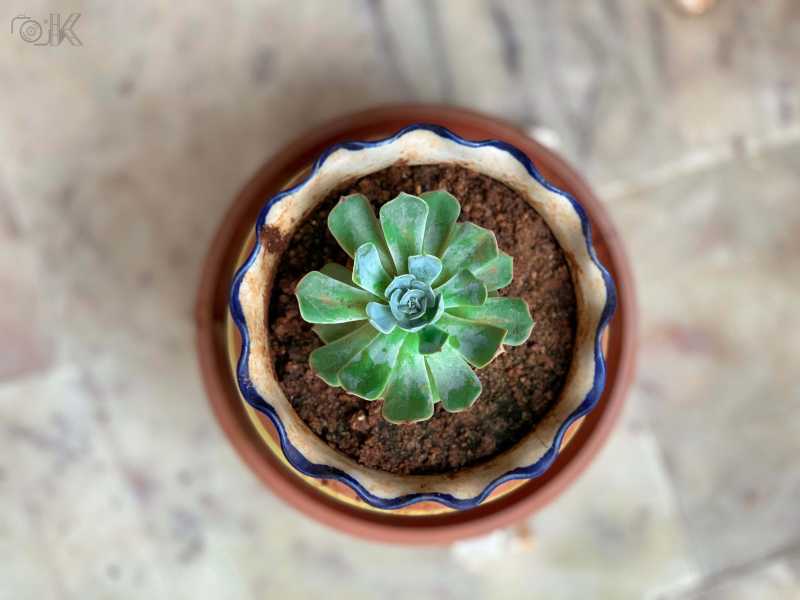 From Balcony #WordsMatter - Thoughts Thru Lens