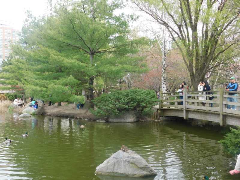 From Chutney To Maple Syrup....our Move To Canada.