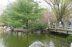 From Chutney to Maple syrup....our move to Canada.