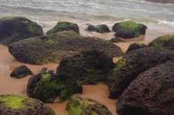 from goa - with love