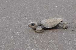 From \"Mind\" to \"Matter\"