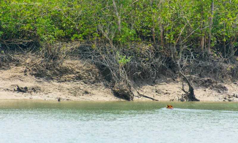 From "Mind" To "Matter"