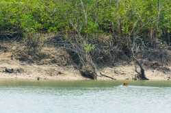 From \"Mind\" to \"Matter\"